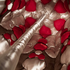 Darkness Can Be Seen