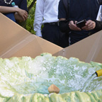 My Bigger Skin Than Me