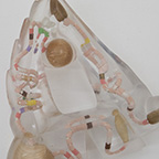 あなたとわたしは少し違うし、少し同じである