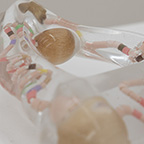 lあなたとわたしは少し違うし、少し同じである